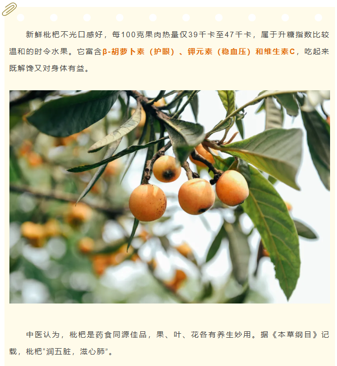 博彩平台